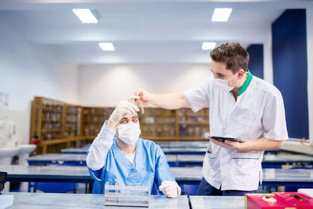 Medicine students carrying out experiments and comparing tissue samplesの写真素材
