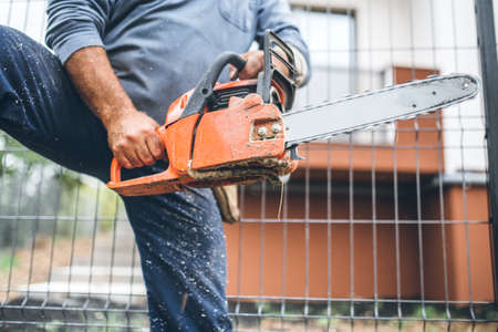 worker using chainsaw for cutting timber wood, portrait with toolsの写真素材