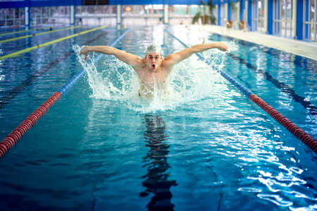 Professional male swimmer, performing the butterfly stroke technique at indoor pool, swimming practiceの写真素材