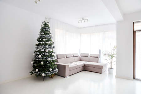 Modern living room space, comfortable sofa and christmas tree in large suite. Contemporary designer mansionの写真素材