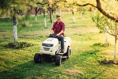 male using lawn mower and cutting grass during landscaping worksの写真素材