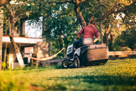 Male worker using professional lawn mower for trimming backyard grass. Lansdscaping works in...