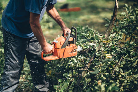 Lumberjack worker cutting firewood in forest with a professional chainsawの写真素材