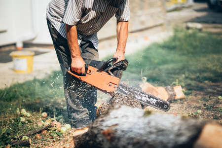 Lumberjack portrait worker in full protective gear cutting firewood and timber in forest with a professional chainsawの写真素材
