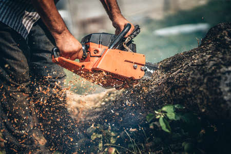 Close-up portrait of lumberjack cutting tree in the garden with gasoline chainsaw. splinters in different directionsの写真素材