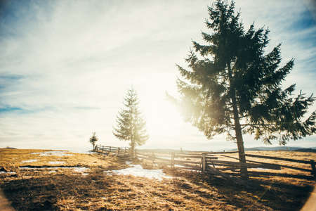 Beautiful mountain landscape with meadow and snow, against direct sunlightの写真素材