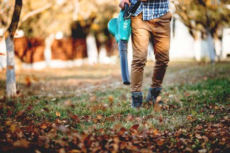 Details of leaves blowing, man using multiple tools while working in gardenの写真素材