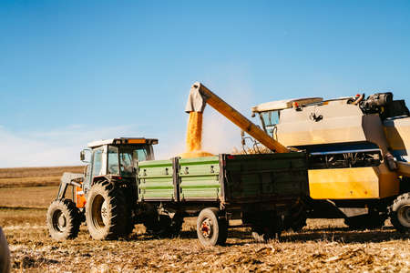 Cereal harvester using tractor and transporting harvestの写真素材