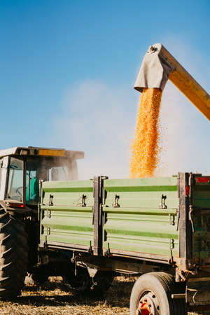 Details of harvester unloading corn from combineの写真素材