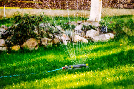 Gardening details close up- automatic lawn watering system with pop-up sprinklersの写真素材