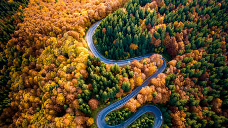 Aerial view of curvy road in beautiful autumn forest at sunset. Top view of roadway with autumn colors. Europe roads and transportation conceptの写真素材