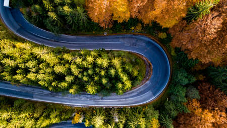 Aerial drone view of winding forest road in the mountains. Colourful landscape with rural road,...