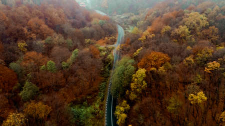 Top aerial view of empty forest road with autumn colors. Aerial view of curvy road in autumn forest. の写真素材
