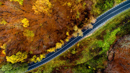 Top view of curvy forest road during autumn season