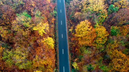 Top view of straight mountain forest roadway with autumn colors