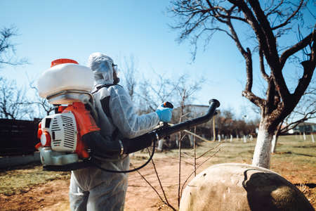Male worker spraying organic pesticides for garden treatmentの写真素材