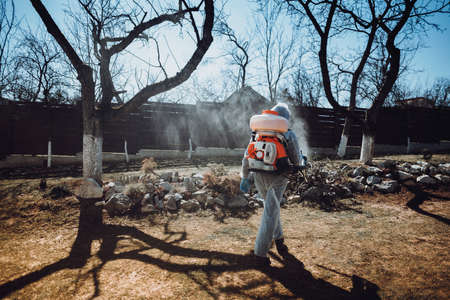 Agriculture worker spraying pesticides in fruit orchard using mistblower and organic chemicals