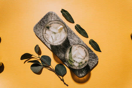 refreshment alcoholic cocktail drink at bar. Gin and lime cocktail with lime  and ice served cold . Retro vintage feelの写真素材