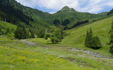 saalalm hiking path beautiful valley background viewの写真素材