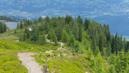 green hiking path from high alpine into a forest, stone path, goldeck