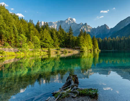 Alps Mountain Trees Reflected in a Lake