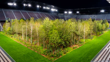 Klagenfurt, Austria - September 11, 2019: For Forest art installation in the stadiumのeditorial素材