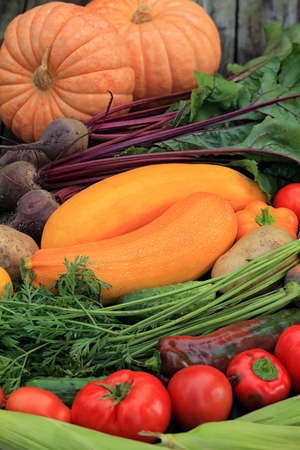 Different multi-colored vegetables and fruits close up on the dark background, the wooden boardの写真素材