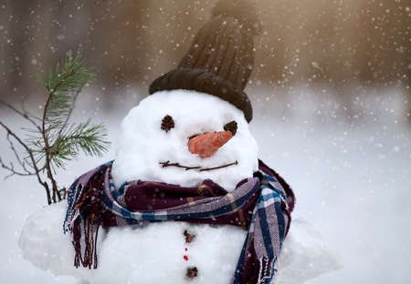 a head of a smiling snowman close up in a hat close up in winter's day near the forestの写真素材