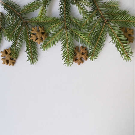 Christmas card with branches christmas tree, Ginger and Honey cookies like snowflakes on a white background. New Year background, frame. Place for text, top view, flat layの写真素材