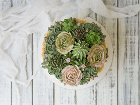 Cake decorated with creamy succulents on a wooden background with white fabric. Copy space, close up, top viewの写真素材