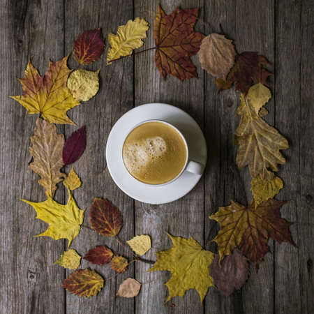 White cup with black coffee in a circle of orange calendulas and faded leaves on rowanberry twigs. Berries and flowers in a circle with mug of hot beverage in the middle. Square photo. Autumn colors.の写真素材