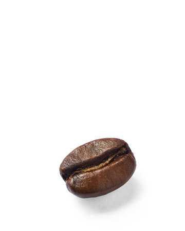 Coffee bean on white background. Stacked macro photography.の写真素材