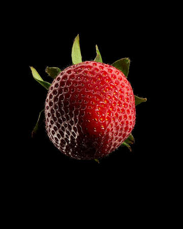 Red strawberry with green leaves on black background. Stacked macro photography.の写真素材