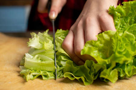 hands of the girl cut lettuce on a wooden table, a woman prepares a veggie salad, a knife chops greens, close-upの写真素材