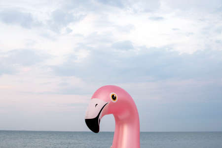 inflatable pink funny flamingo against the sky, the symbol of the beach season, copy spaceの写真素材