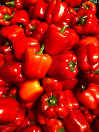 Beautiful Red Pepper in large quantities.の写真素材