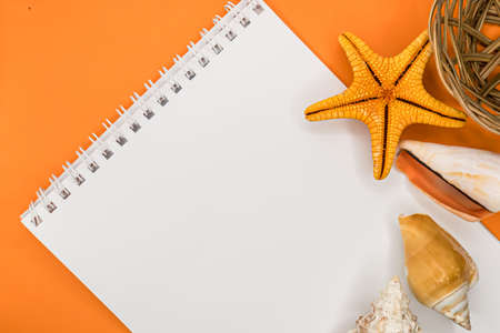 White notepad with no text. Empty space for text. Beautiful colors. Shells. Starfish. Beautiful background. Minimalistic design. High quality photoの写真素材