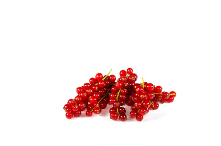 Red currants isolated on whiteの写真素材