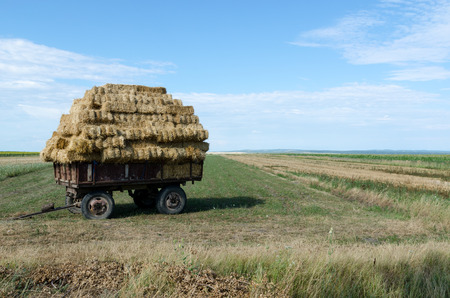 Trailer with dried grass in a fieldの写真素材