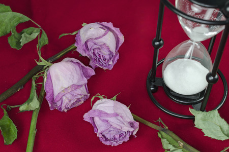 Dried roses and hourglassの写真素材
