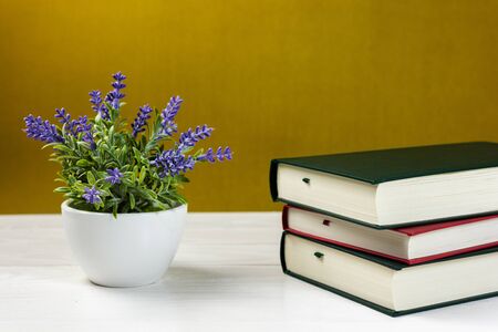 Stack of books on the tableの写真素材