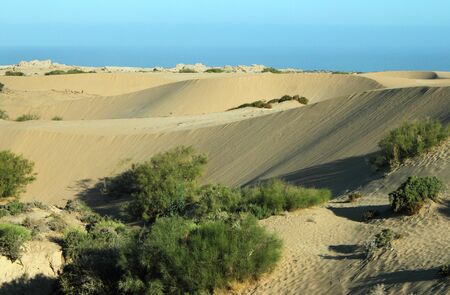 Sand dunes, Maroccoの写真素材