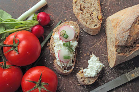 Bread with cottage cheese and fresh radishの写真素材