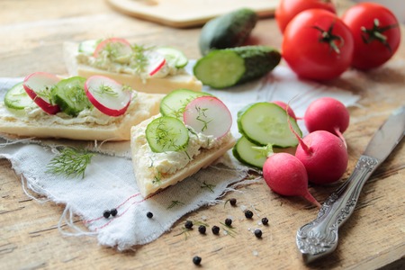Sandwich with cheese, radish, cucumber and fresh fennelの写真素材