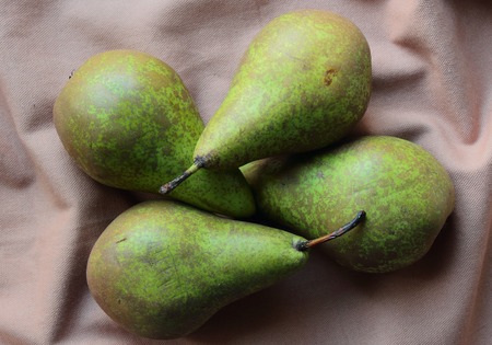 Green pears on a textile clothの写真素材