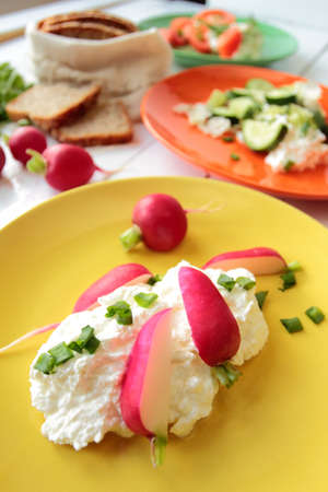 Fresh cottage cheese with radish and chiveの写真素材