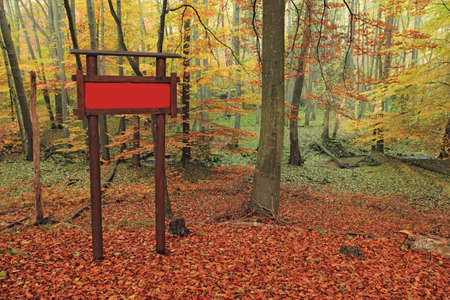 Information board in forest in autumnの写真素材