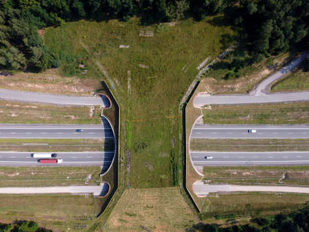 Aerial top down view of ecoduct or wildlife crossingの写真素材