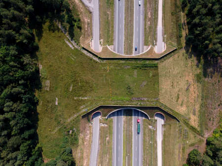 Wildlife crossing forming a safe natural corridor bridge for animals to migrate