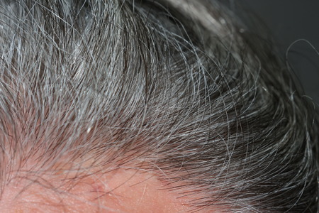Gray hair menの写真素材